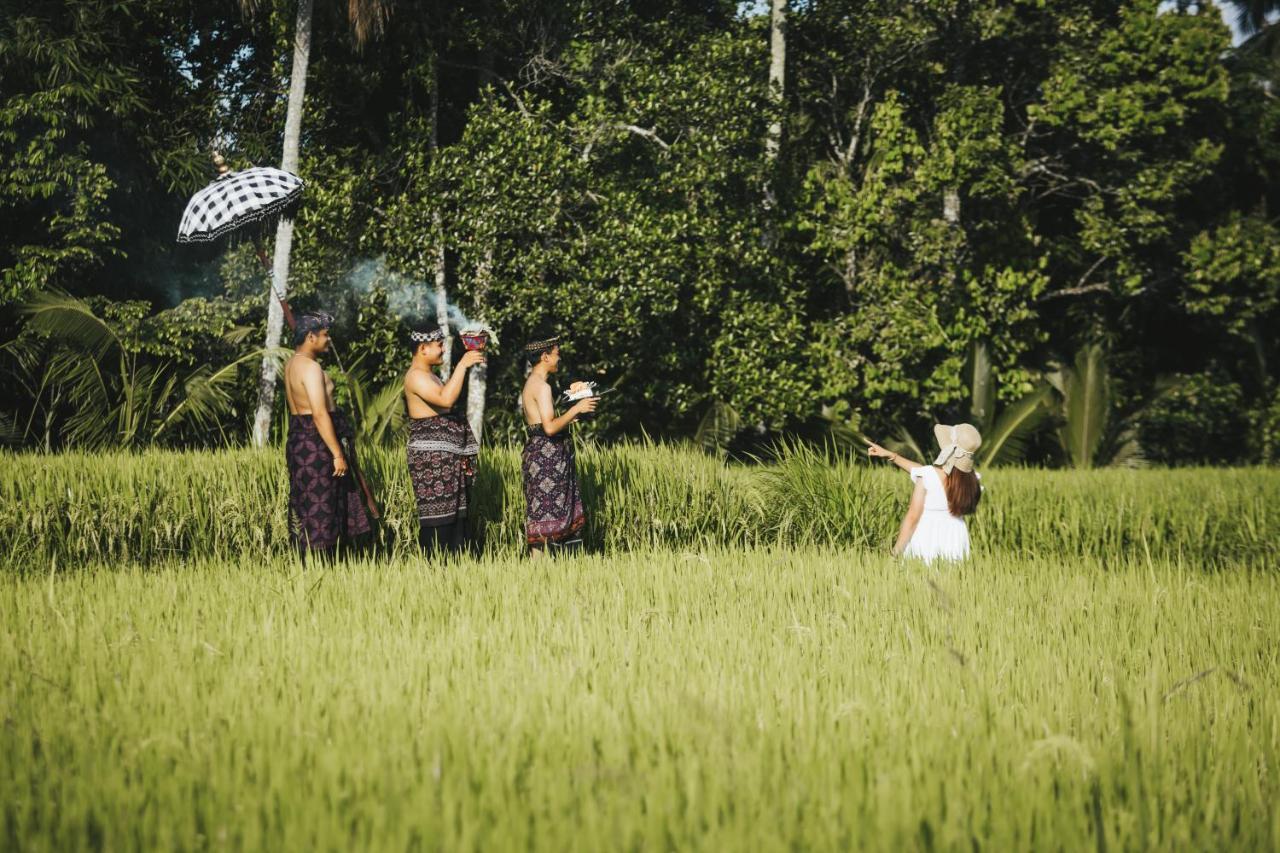 Sunshine Villas Ubud Eksteriør bilde